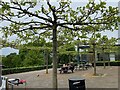 Terrace by caf?, Horniman Gardens, London