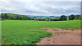 Grassland at The Tump