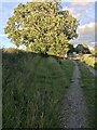 Gate on Bridleway (Mill Lane)