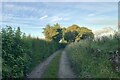 Bellerby, Mill Lane (Bridleway)