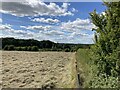 Path and Field of Cut Grass near Brinsley