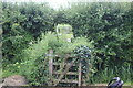 ST3685 : Overgrown footbridge, Broadstreet Common by M J Roscoe