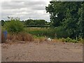 Pond off Rectory Lane, Upton Warren