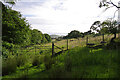 Rough grazing land, Llanegryn