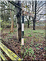 Direction Sign ? Signpost on Black Horse Lane, near Swainby