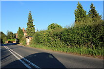 SO6140 : Hereford Road, Tarrington by David Howard
