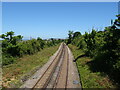 Railway towards Whitstable