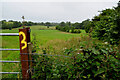 Edergole Townland