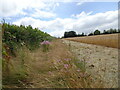 Trysull Field Footpath