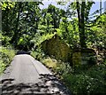 Dry Mill Lane in the Wyre Forest