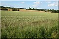 Arable fields near Otley