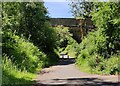 National Cycle Route 45 in the Wyre Forest