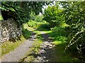 Track SE of Tan-y-Graig