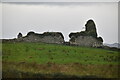 L9695 : Ruin near Burrishoole Abbey by N Chadwick
