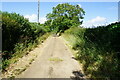 Hamstead Trail towards Wellow