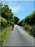 SO1089 : Middle Dolfor Road, riding up in The Dingle by Richard Law