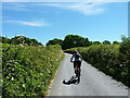 Riding along Middle Dolfor Road near Graig