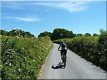 SO0988 : Riding along Middle Dolfor Road near Graig by Richard Law