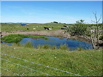 SO1081 : A small pool on the moor above Blaen-nant-du by Richard Law
