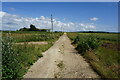 Path leading to Dodpits Lane