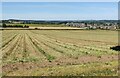 Farmland at High Habberley