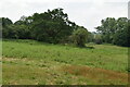 Grasses north of A25