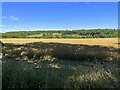 View over farmland to Sarsden