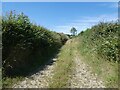 Track on Shuteley Farm