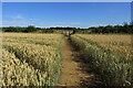 Gate on the footpath to Churchill Heath