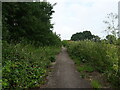 Cycle track towards Christmas Lane