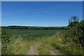 Field near Greystone