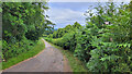 Narrow Monmouthshire Lane