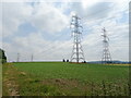 Crop field and power lines near Buckland Farm