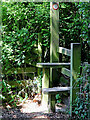 Stile north of Wrottesley Home Farm in Staffordshire