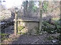 Stone Stile Toadsmoor Woods, Chalford GS9284