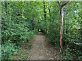 Public footpath 20W, Copthorne