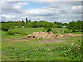 Manure heap behind Silver Street hedge