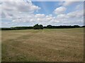 Recently harvested field near Cowsden