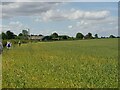 Walkers approach Lower Cowsden Farm