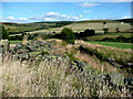 SE0516 : Colne Valley Footpath 5/3 at Footpath 238, Scammonden by Humphrey Bolton