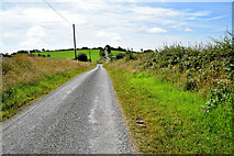 H4760 : Raneese Road, Derrybard / Raneese by Kenneth  Allen