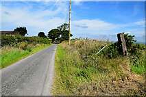 H4760 : Raneese Road, Raneese / Derrybard by Kenneth  Allen