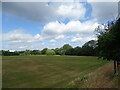 Recreation ground beside Weigall Road 