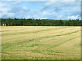 Farmland near Milton