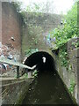SP0787 : Ashted tunnel, Digbeth Branch canal by Christine Johnstone