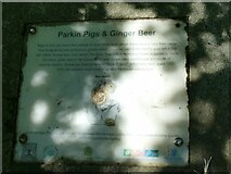 SE1427 : Plaque in Judy Woods by Stephen Craven