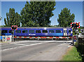 Train on Dingwall Middle Level Crossing