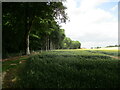 Permissive path alongside Epperstone Park