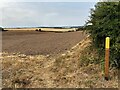 Footpath and Fields near Windmill Hill