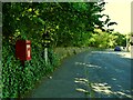 Postbox on Brow Lane